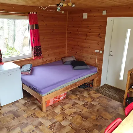 Toma Pirts Maza 招待所 Ikšķile